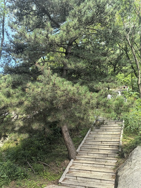 踏山砺志,溯溪同行——记沂山山野团建活动(图1) 踏山砺志,溯溪同行——记沂山山野团建活动(图1)